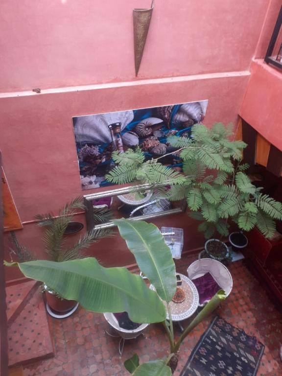 Riad Hanafi Marrakesh Esterno foto